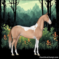 Horse Color:Gold Champagne Roan Splash Tobiano