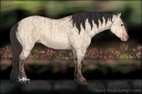 Horse Color:Bay Dun  and Amber Champagne Dun 