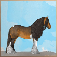 Horse Color:Buckskin Tobiano