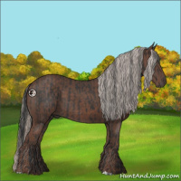 Horse Color:Black  and Silver Black 