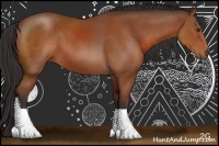 Horse Color:Bay Sabino Tobiano 