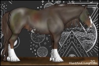Horse Color:Liver Chestnut Sabino