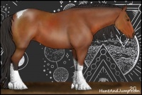 Horse Color:Brown Sabino Tobiano