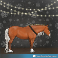 Horse Color:Silver Bay 
