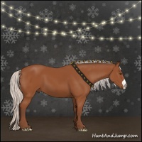 Horse Color:Silver Bay 