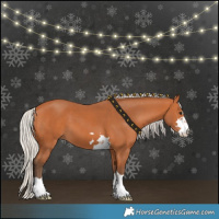 Horse Color:Silver Bay 