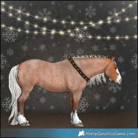 Horse Color:Silver Bay Roan 