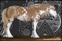 Horse Color:Chestnut Sabino 