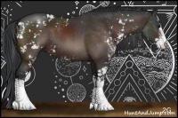 Horse Color:Brown Sabino