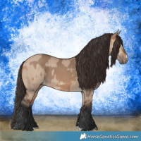 Horse Color:Bay Dun Rabicano  and Bay Dun Rabicano 