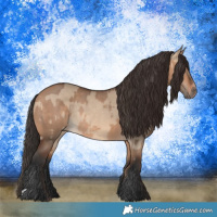 Horse Color:Bay Dun Rabicano  and Bay Dun Rabicano 