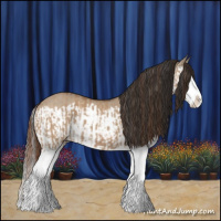 Horse Color:Red Dun Splash  and Bay Dun Splash 