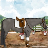 Horse Color:Grullo 