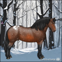 Horse Color:Bay Snowflake Varnish 