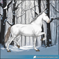 Horse Color:Bay Snowflake Varnish
