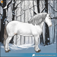 Horse Color:Brown Appaloosa