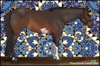 Horse Color:Buckskin Tobiano 