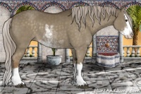 Horse Color:Chocolate Palomino Dun Sabino Splash 