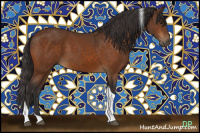 Horse Color:Buckskin Tobiano