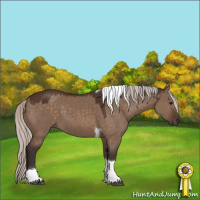 Horse Color:Silver Brown Dun Sabino Tobiano 