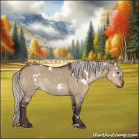 Horse Color:White Spotted Silver Brown Dun 