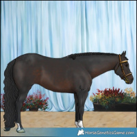 Horse Color:Brown 