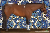 Horse Color:Buckskin Tobiano 