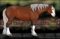Horse Color:Silver Brown Sabino Splash 