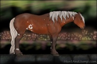 Horse Color:White Spotted Silver Brown 