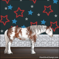 Horse Color:White Spotted Silver Bay Sabino 