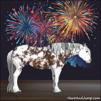 Horse Color:Bay Sabino Splash 