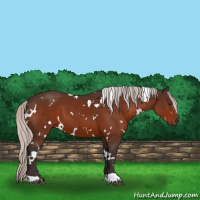 Horse Color:White Spotted Silver Brown 