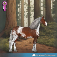 Horse Color:White Spotted Silver Bay Sabino 