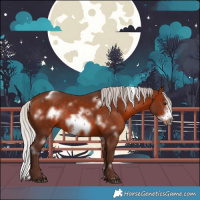Horse Color:White Spotted Silver Bay Frame Rabicano 