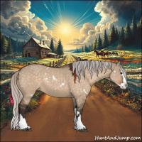 Horse Color:White Spotted Silver Brown Dun Sabino Splash 