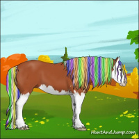 Horse Color:Painted Silver Bay Sabino Splash 