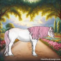 Horse Color:Watercolor White Spotted Bay Dun Sabino Splash Rabicano 