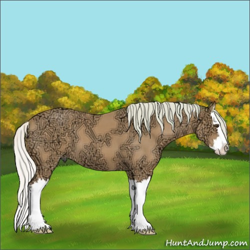 Horse Color:Watercolor Silver Buckskin Ice Roan Splash 