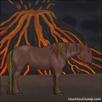 Horse Color:Painted Liver Chestnut 