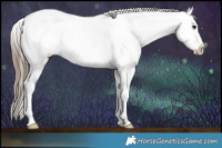 Horse Color:Black Ice Varnish Rabicano 