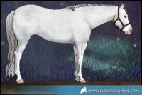 Horse Color:Black Ice Sabino Splash Varnish Rabicano 