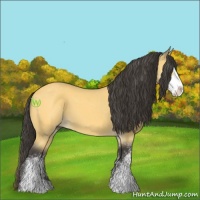 Horse Color:Buckskin Sabino 