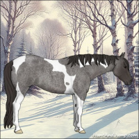 Horse Color:Smoky Blue Roan Tobiano 