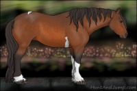 Horse Color:Buckskin Tobiano 