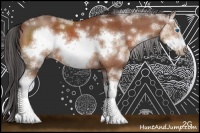 Horse Color:Brown Sabino Frame