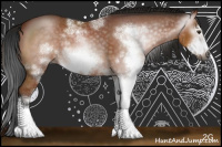 Horse Color:Gray Bay Sabino Frame Rabicano 