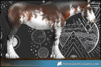 Horse Color:White Spotted Bay Sabino Rabicano 