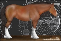 Horse Color:Bay Sabino Tobiano