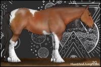Horse Color:Bay Sabino Tobiano 