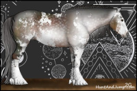 Horse Color:Gray Liver Chestnut Sabino Rabicano 